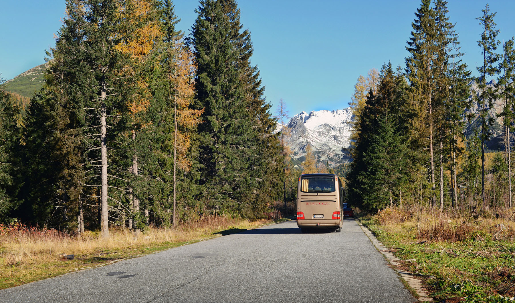 Transporte El Pingüino
